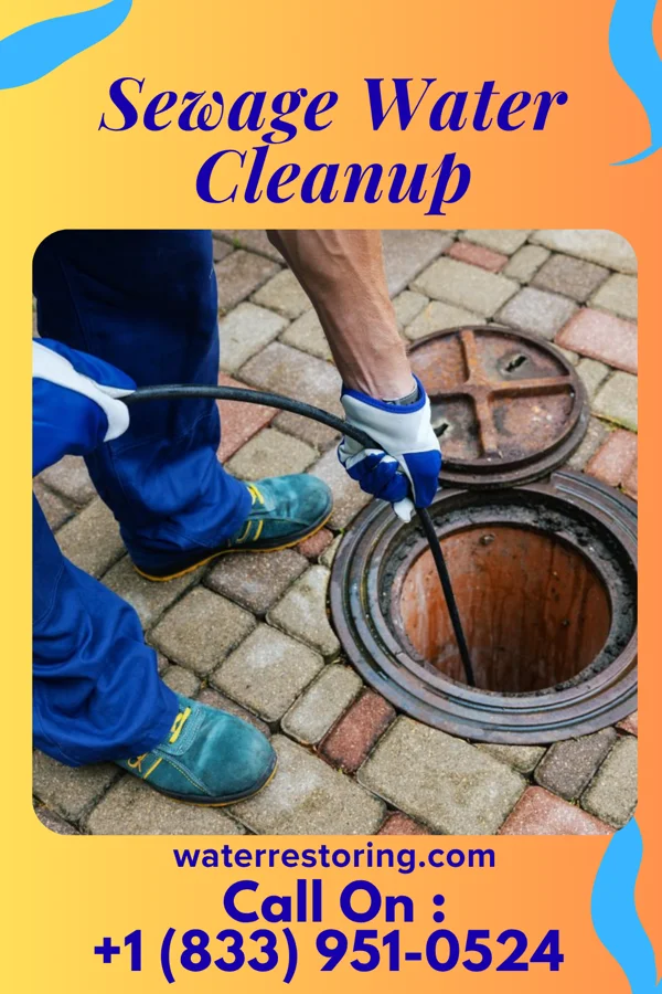 Sewage Water Cleanup in Jolley, IA
