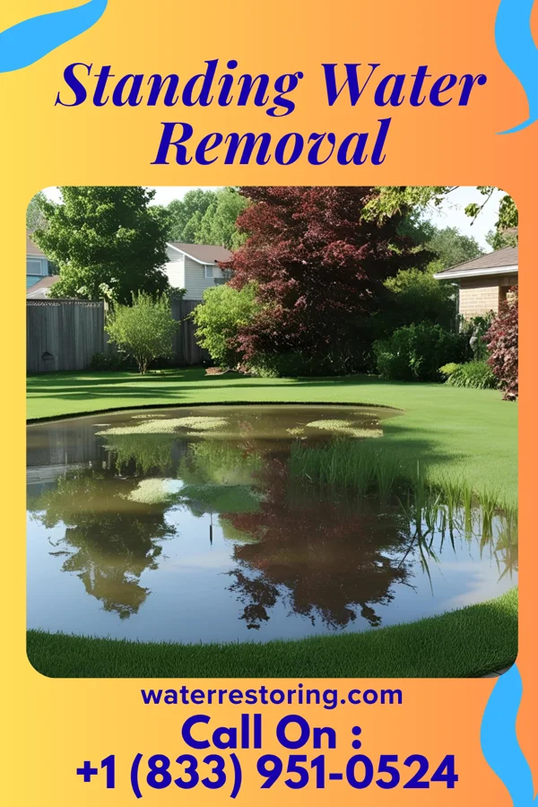 Standing Water Removal in Jolley, IA